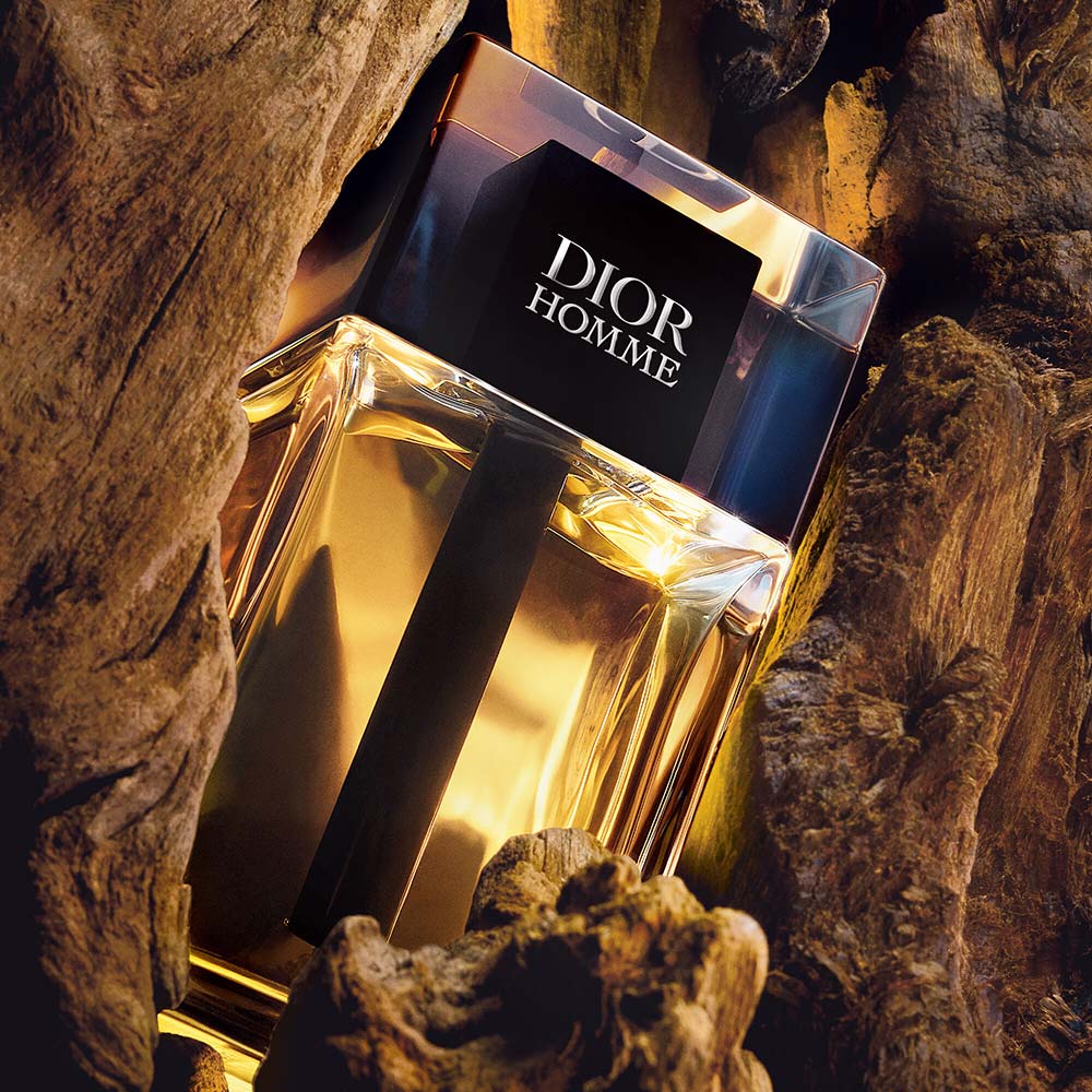 Dior Homme Kit Perfume EDT 100ml + Travel Spray 10ml