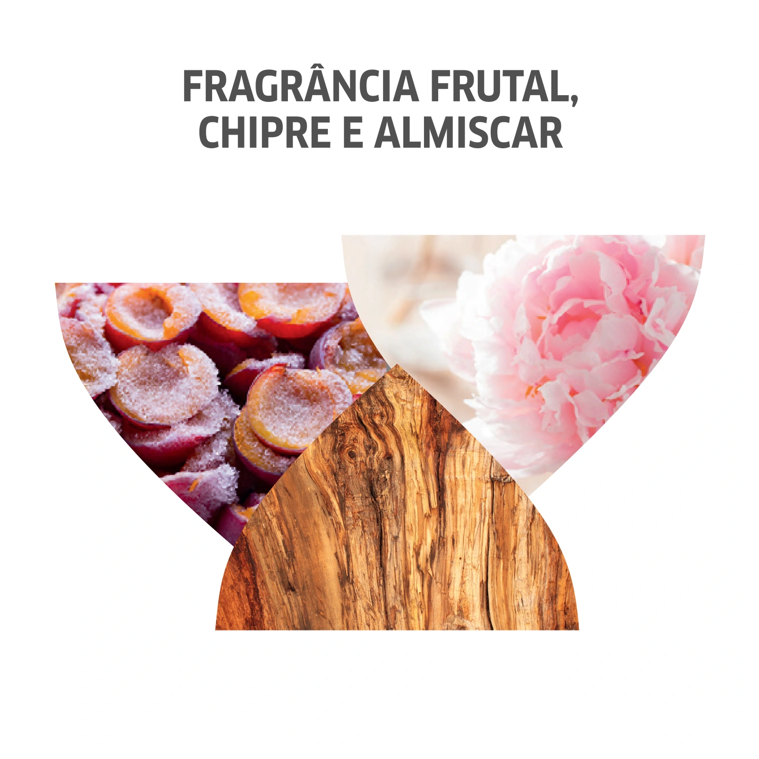 Wella Professionals Invigo Nutri-Enrich & Oil Reflections Kit Tratamento 5 Produtos